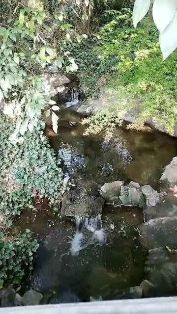 弹球突破