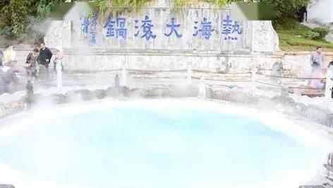 金刚鹦鹉逃生